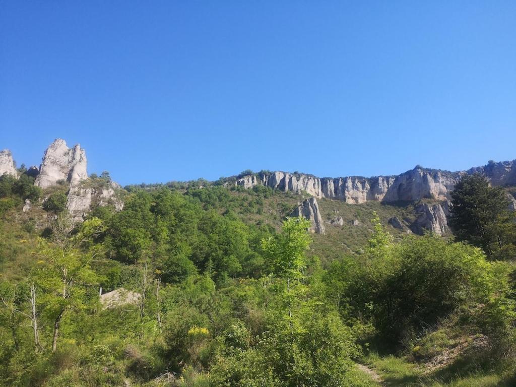 Chateau D'Eau Logement Insolite Tournemire  外观 照片